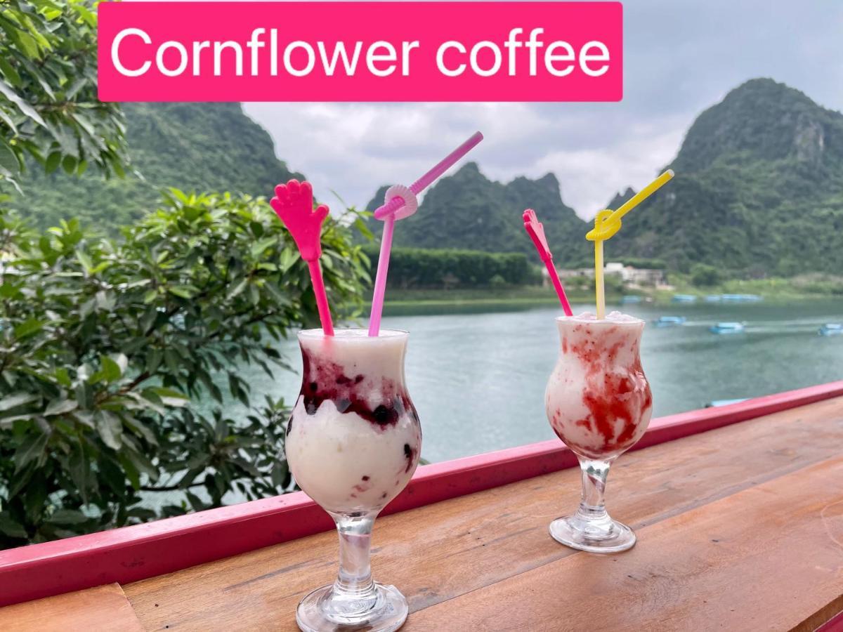 Cornflower Homestay Фонг Нха Екстериор снимка